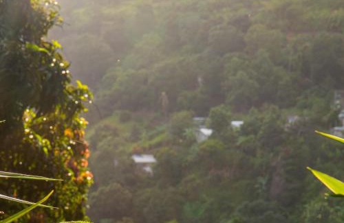 Newcastle House | Adella's Blue Mountain Coffee Farmstay