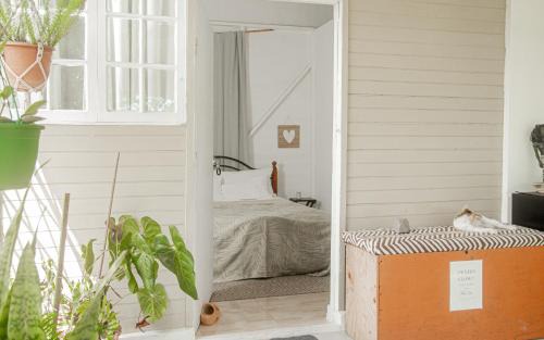 Newcastle House | Adella's Blue Mountain Coffee Farmstay