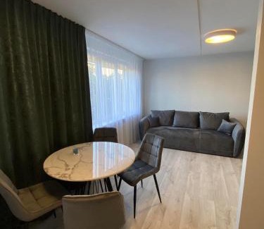 Panevezys Apartment | ADI Apartamentai