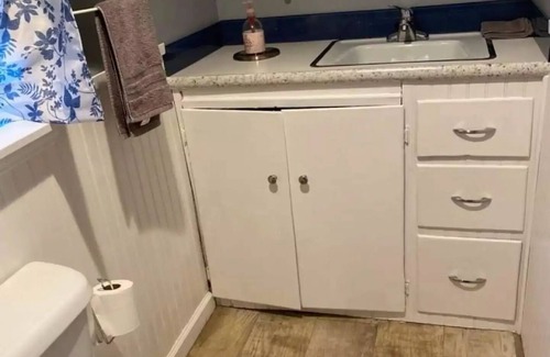 Arietta Cabin | Adorable 1 bedroom guest cabin
