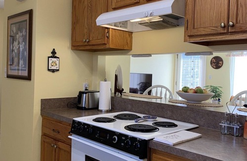 Mid America Condo | Adorable Lake Getaway