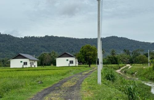 Kampung Lubok Setol House | Afdal homestay
