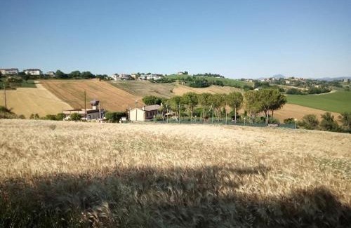 Filottrano House | Affittacamere Flli Rossi