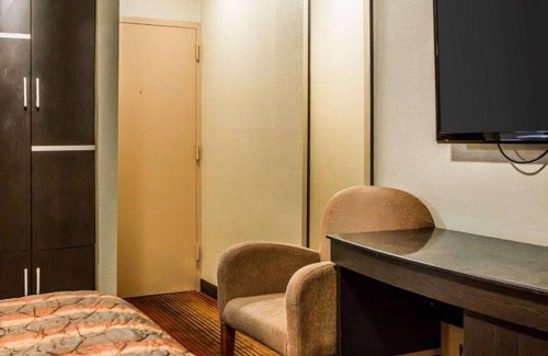 Belleville House | Affordable basics near The Meadowlands