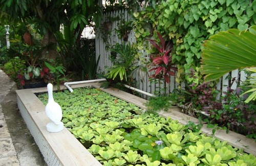 Nassau House | Affordable Tropical Townhouse, 7 Mins Walk to Beach