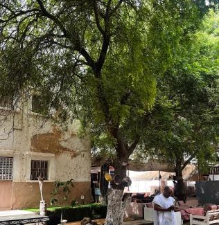 Nouakchott Hostel | Africa Escale