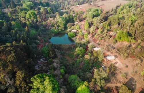 Haenertsburg Ski Chalet | AfriCamps Magoebaskloof