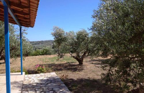 Kompi House | Aggeliki House 3
