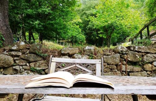 Dolceacqua Other | Agricamping Ponteraggio n.1