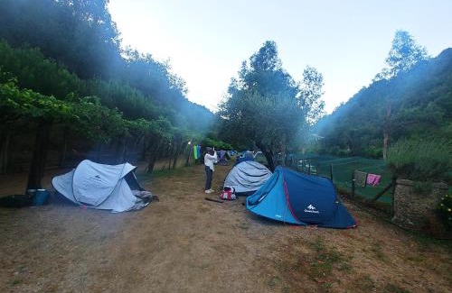Dolceacqua Other | Agricamping Ponteraggio n.1