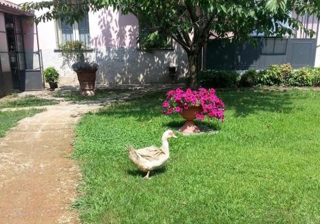 Pregnana Milanese House | Agriturismo Cascina Madonnina