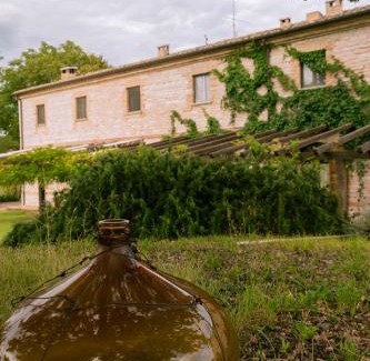Isola del Piano Apartment | Agriturismo Dai Mori