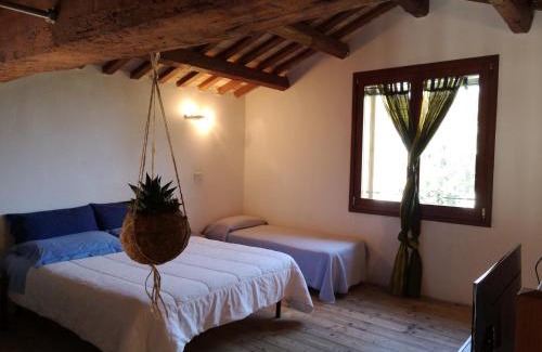 Borgo Montone Apartment | Agriturismo Elianto