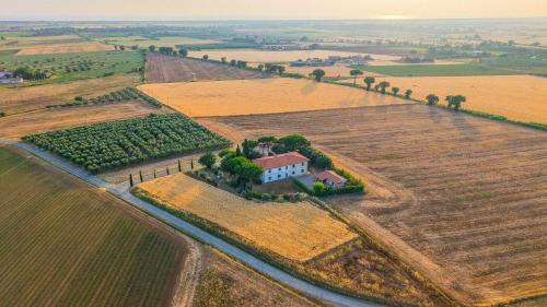 Bibbona House | Agriturismo I Debbi