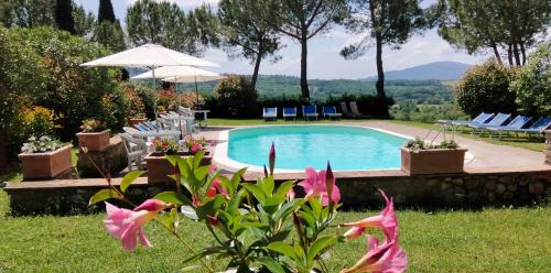 Montecatini Val di Cecina Apartment | Agriturismo Il Catrino