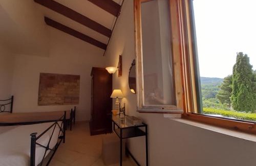 Pomaia House | Agriturismo Il Gelso