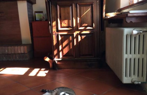Carpena House | Agriturismo Il Pettirosso