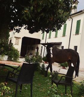 San Giorgio di Mantova House | Agriturismo Loghino Caselle