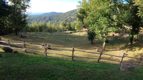 Sant'Eurosia Ski Chalet | Agriturismo l'Arbo