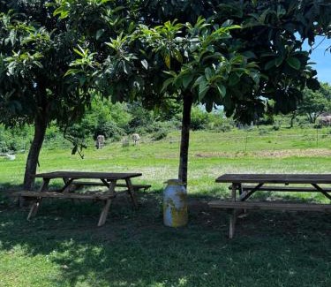 Villaggio Belmonte House | Agriturismo La Betulla