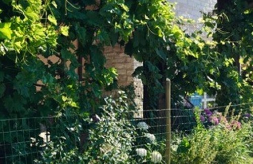 Fossombrone Other | Agriturismo "Le Cannelle" spa & day wellness