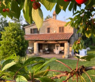 Massa Marittima Apartment | Agriturismo Monte Gusciani