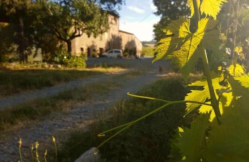 Molino Mazzetti House | Agriturismo Podere Molino