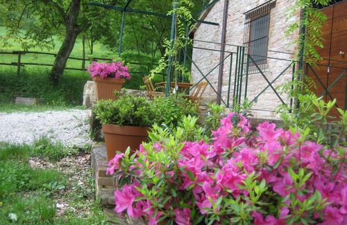Urbania Apartment | Agriturismo San Lorenzo in Torre