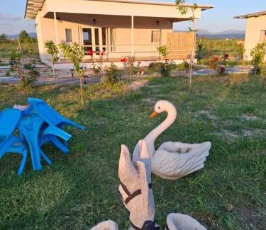 Arta House | Agroktima