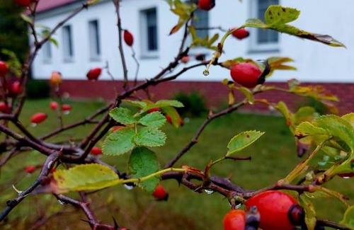 gmina Kłodawa House | Agroturystyka Rębowo