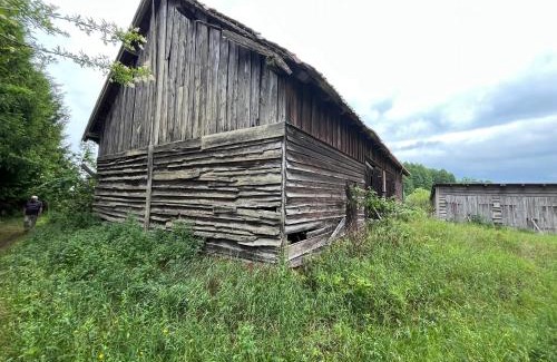 Suprasl Other | Agroturystyka Supraśl 2024