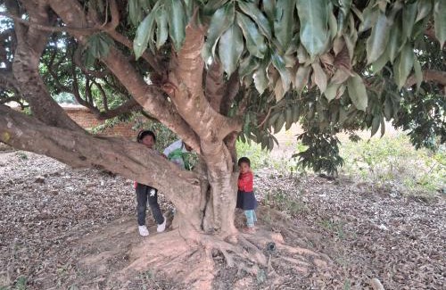 Ambohibao House | Aintsoa Guest House