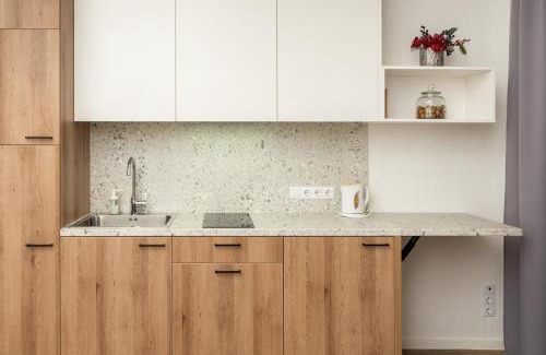 Vilnius Apartment | Air Apartment 104