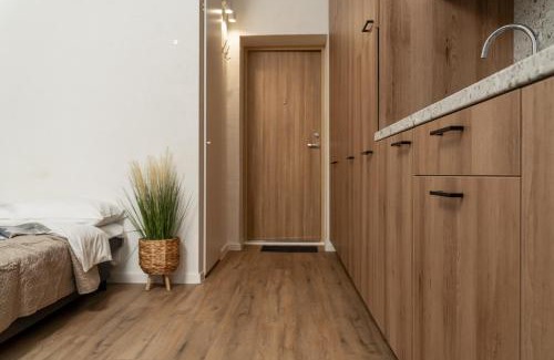 Vilnius Apartment | Air Apartment 104