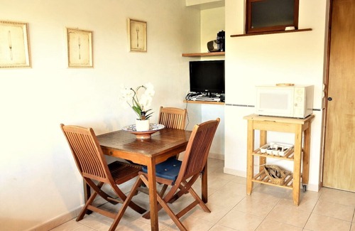 Bormes-Les-Mimosas Apartment | air-conditioned single-storey gîte with swimming pool private parking in peaceful setting