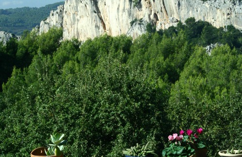 Evenos House | AIRCONDITIONED MAS PROVENÇAL PRIVATE POOL CONTRYSIDE NEAR BANDOL CASTELET SANAY