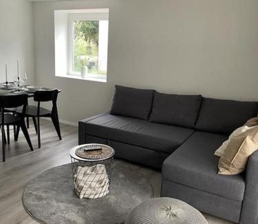 Glattbrugg Apartment | Airport City Zürich