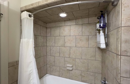 Mid-City Apartment | Airy, Convenient, Art Infused Mid City 1bd Apt