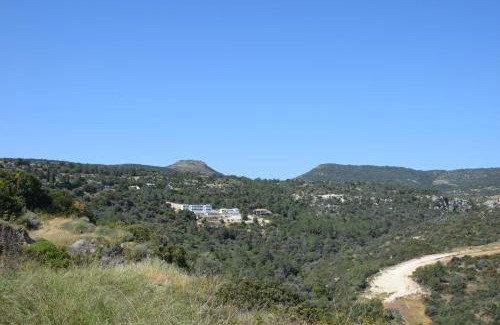 Neo Chorio Apartment | AKAMAS THRONE APARTMENTS
