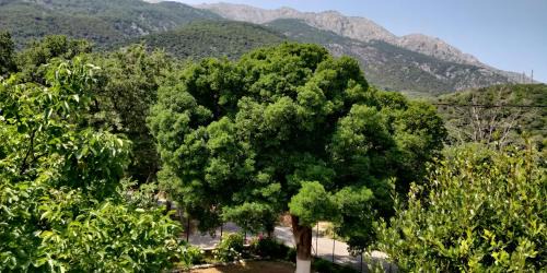 Therma House | Akamatis Giorgos