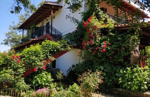 Therma House | Akamatis Giorgos