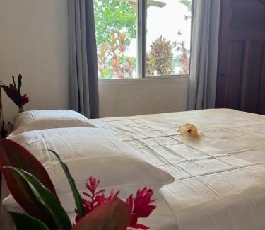 Isla Solarte Bed & Breakfast | Akwaba Lodge