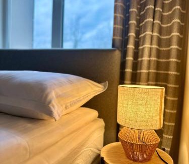 Panevezys Apartment | AL Apartment, Central & Cozy