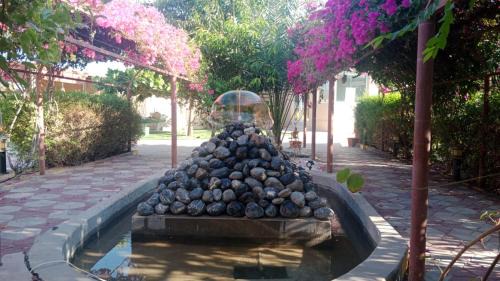 Nizwa Resort | Al Bayan Palms