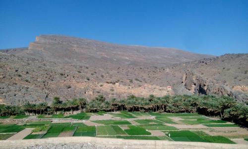 Al Hamra House | Al Hamra Guest House