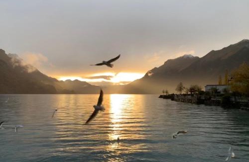 Brienz Apartment | Al Porto Fantastic Lake & Mountain View Apartment