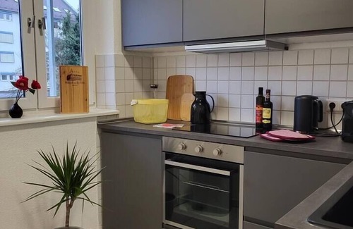 Neu-Ulm Apartment | ALA Living apartment Stadt-Schwärmer 10min Minster