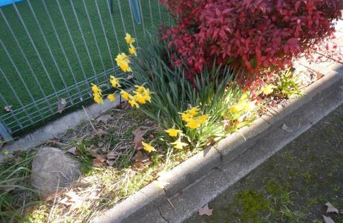 Albury Hotel | Albury City Motel