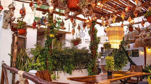 Progreso Municipality Hotel | Aldea Boutique Ommi