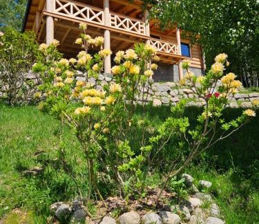 Przesieka Villa | AleBale Przesieka luksusowy dom z bali z widokiem na Karkonosze